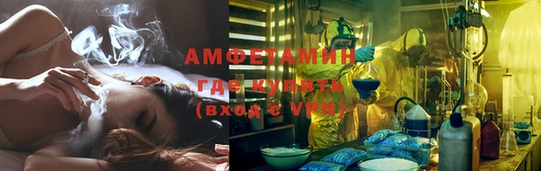 трава Белокуриха