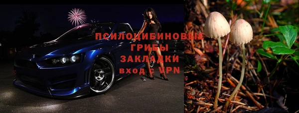 трава Белокуриха