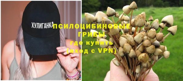 трава Белокуриха
