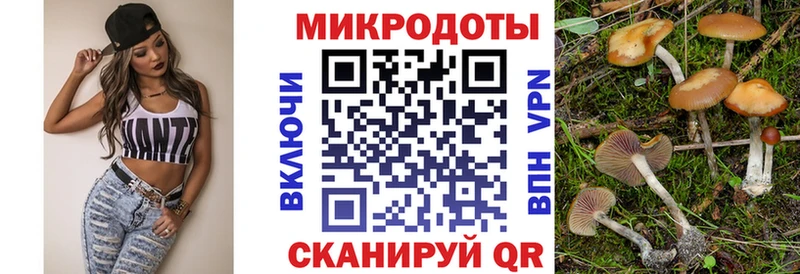 Галлюциногенные грибы ЛСД  купить  цена  Черняховск 