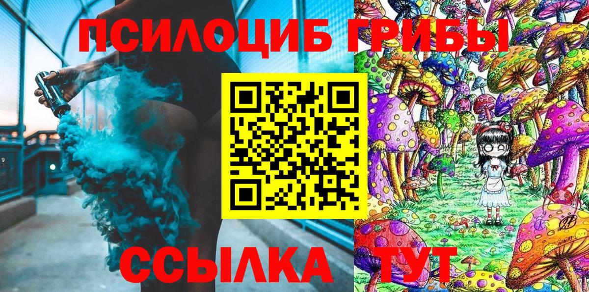 Псилоцибиновые грибы GOLDEN TEACHER Черняховск
