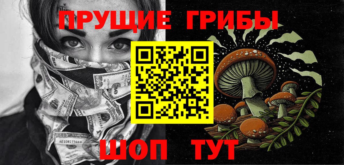 купить закладку  Вход с VPN  Черняховск  Галлюциногенные грибы GOLDEN TEACHER 